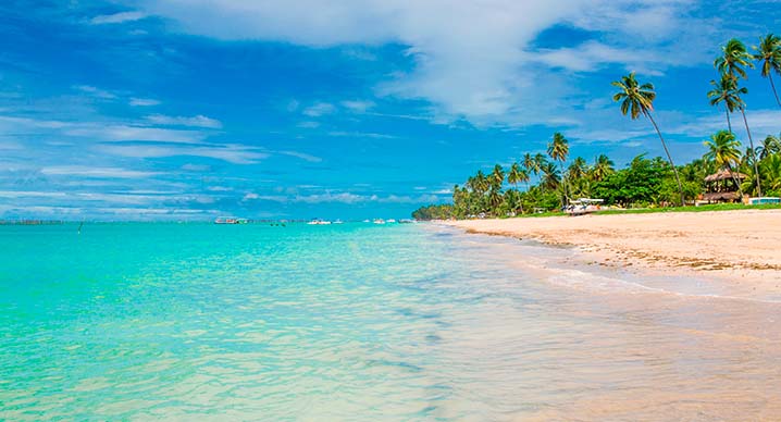 5 melhores praias brasileiras para o seu verão